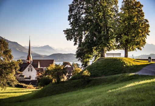 What are the pros and cons of holding a Swiss residency permit?